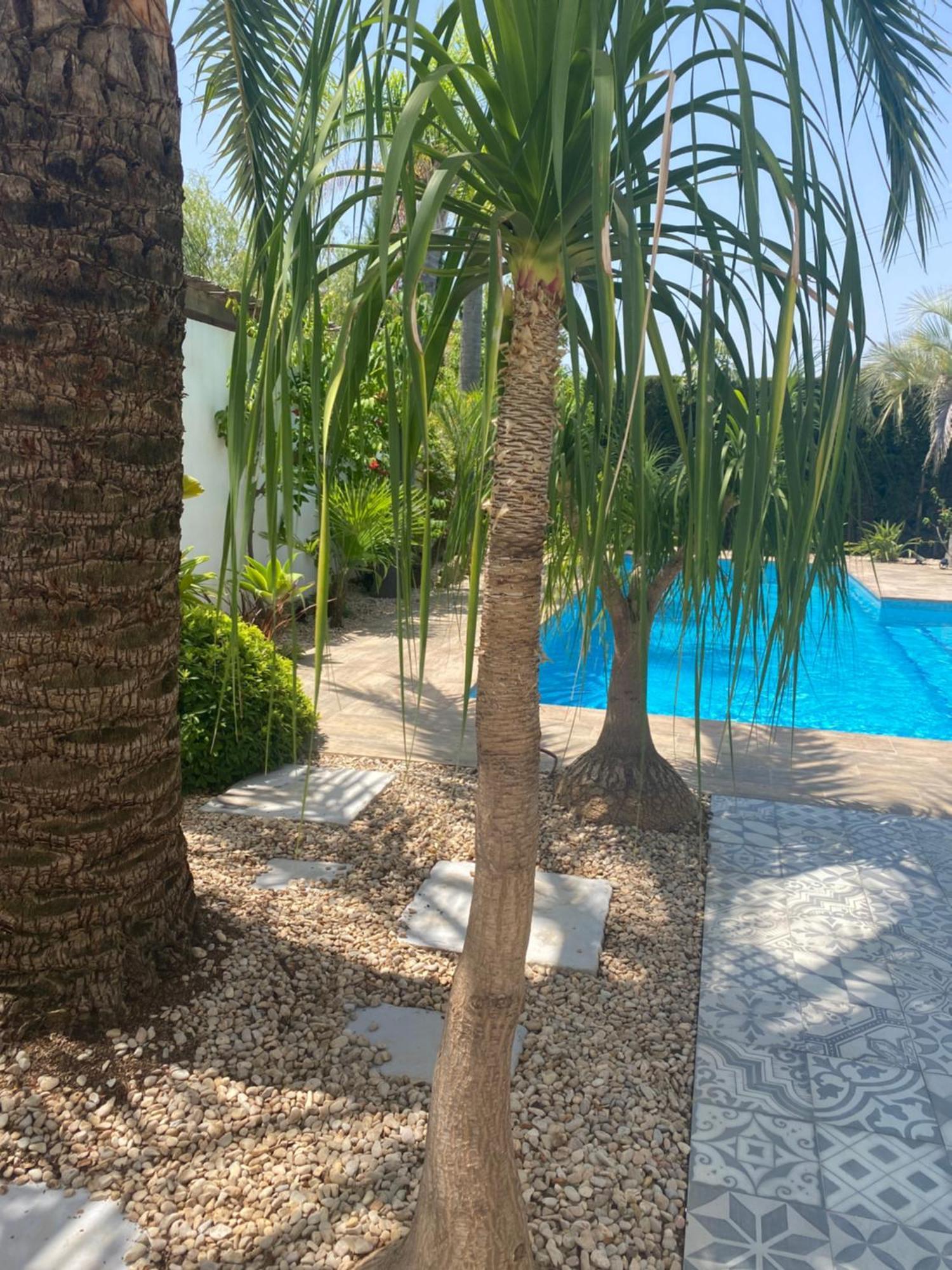 Bohospanishvilla Moraira Esterno foto